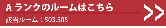 Aタイプ
