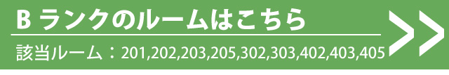 Bタイプ