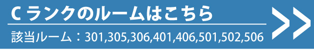 Cタイプ